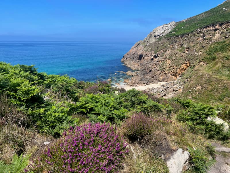 A turquoise cove with granite boulders and purple heather on the cliff path