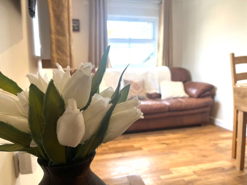 White tulips with the leather sofa and window beyond